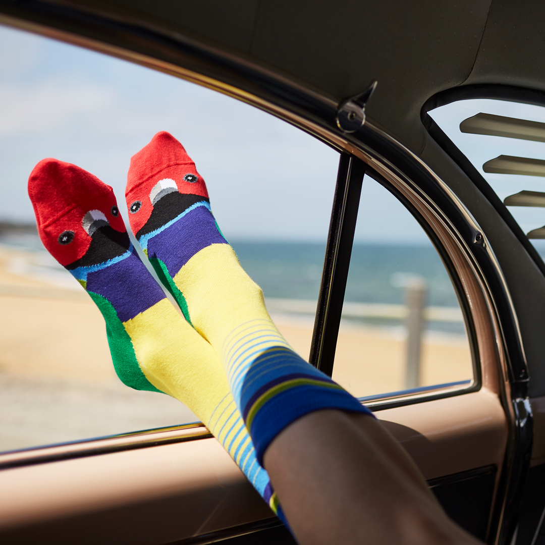 It's Bright, it's Beautiful... it's the Gouldian Finch Socks