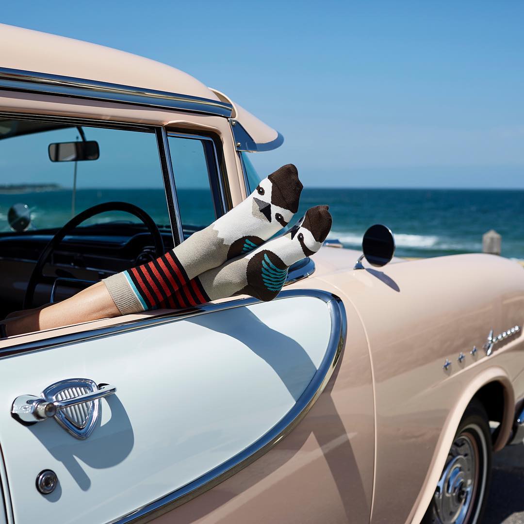 It all started with a gift...