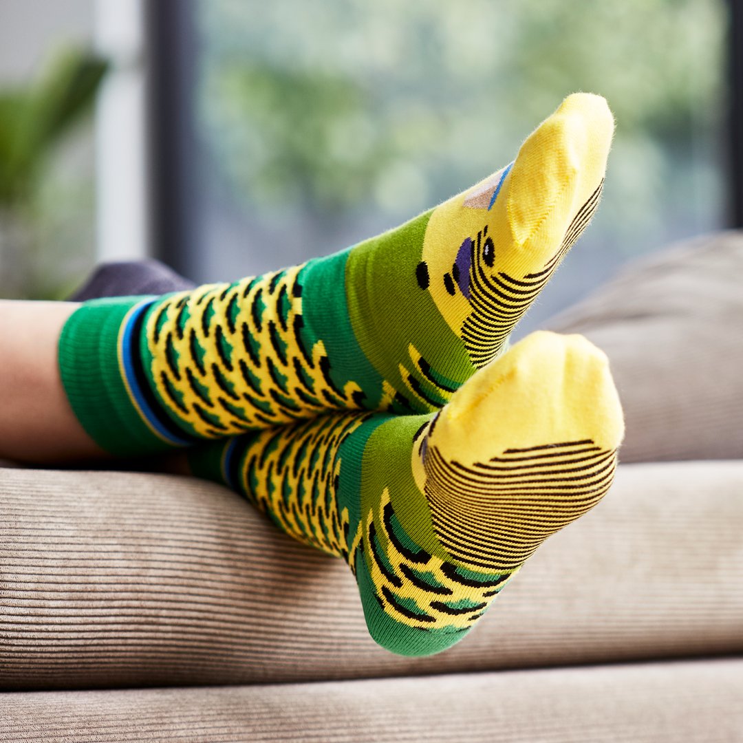GOULDIAN FINCH SOCKS