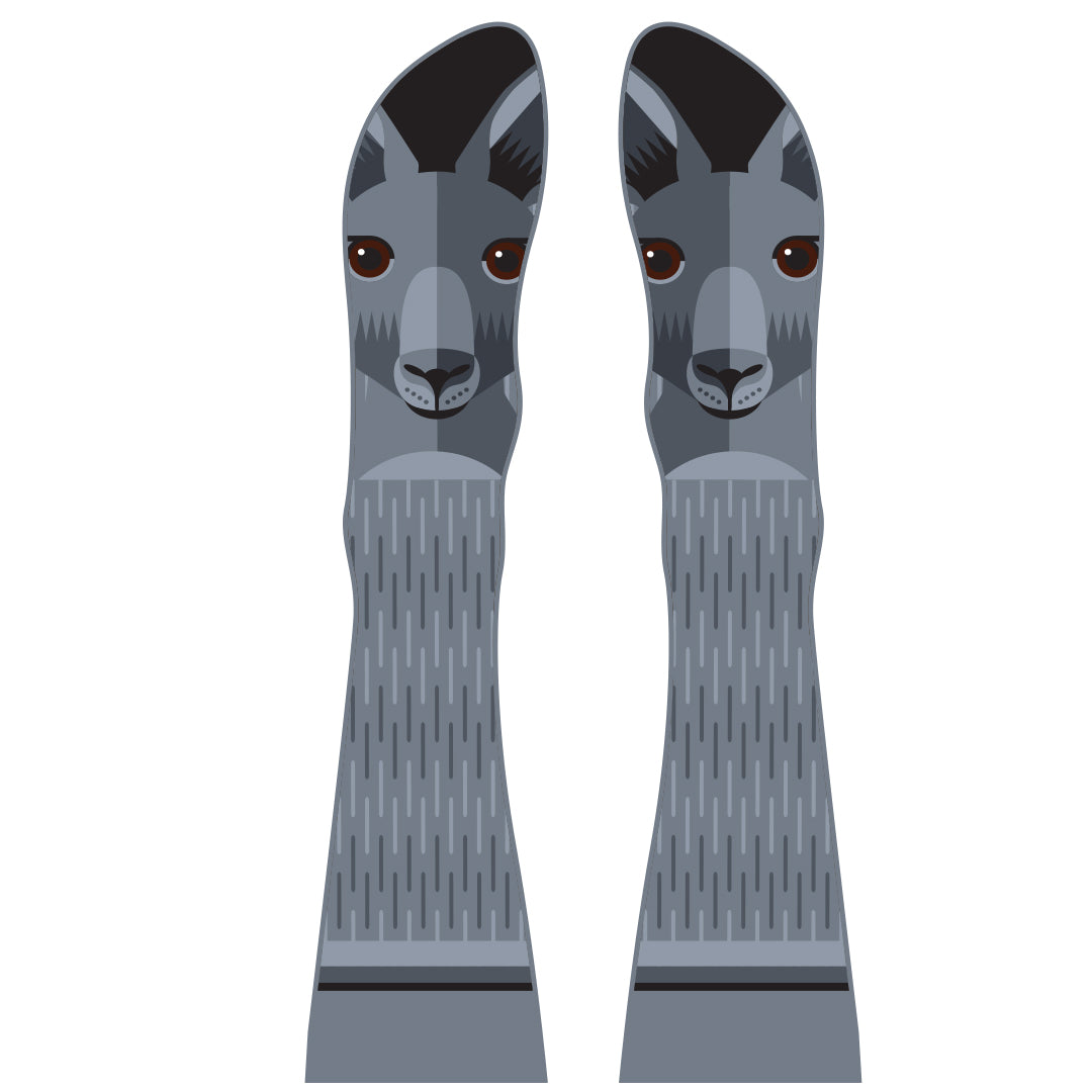 GREY KANGAROO