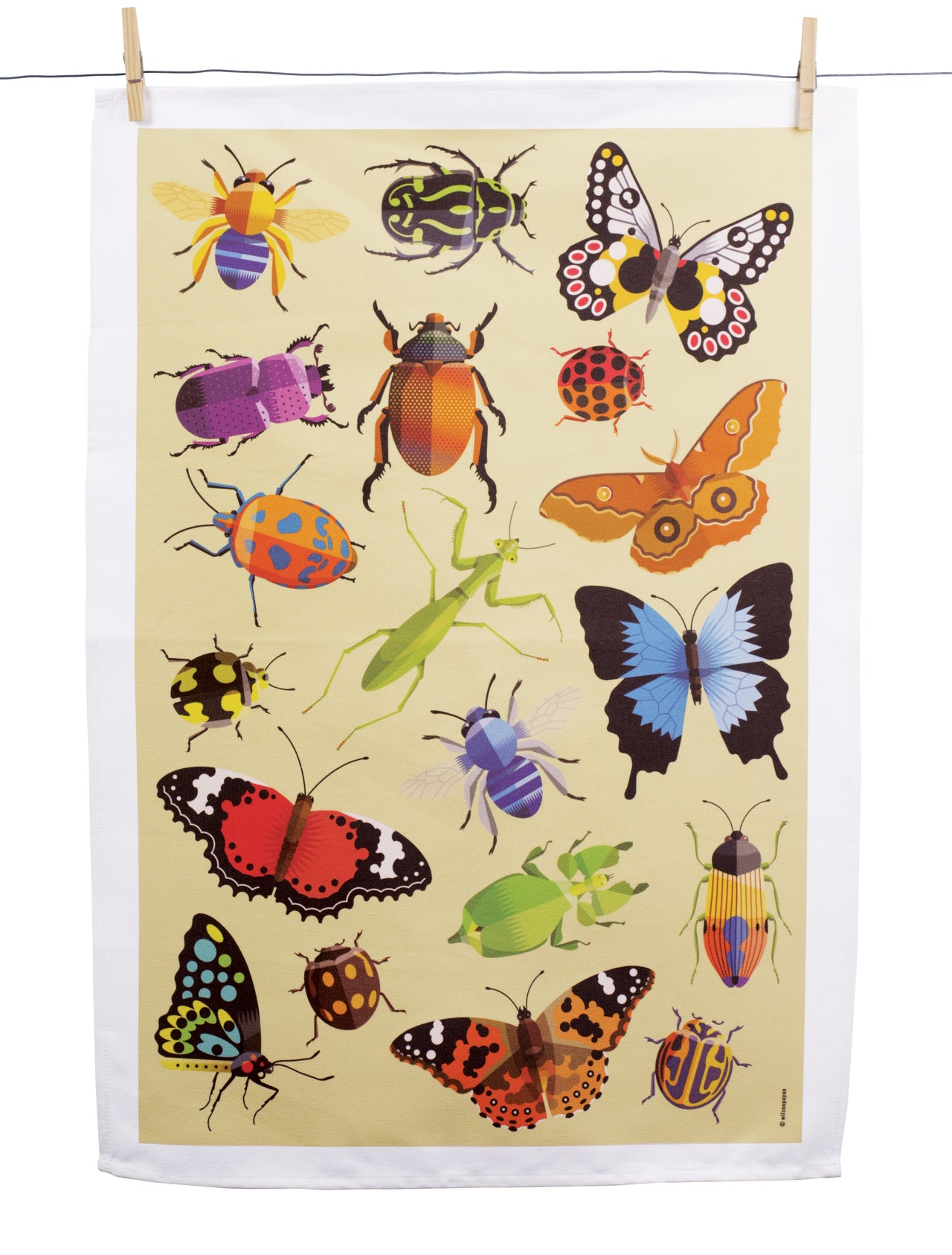 BEAUTIFUL BUGS