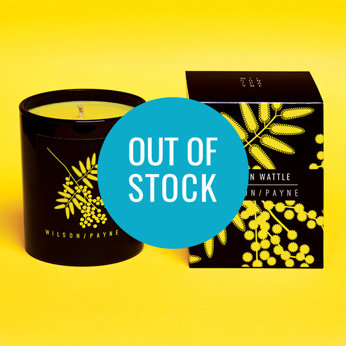 FROM RED EARTH - GOLDEN WATTLE