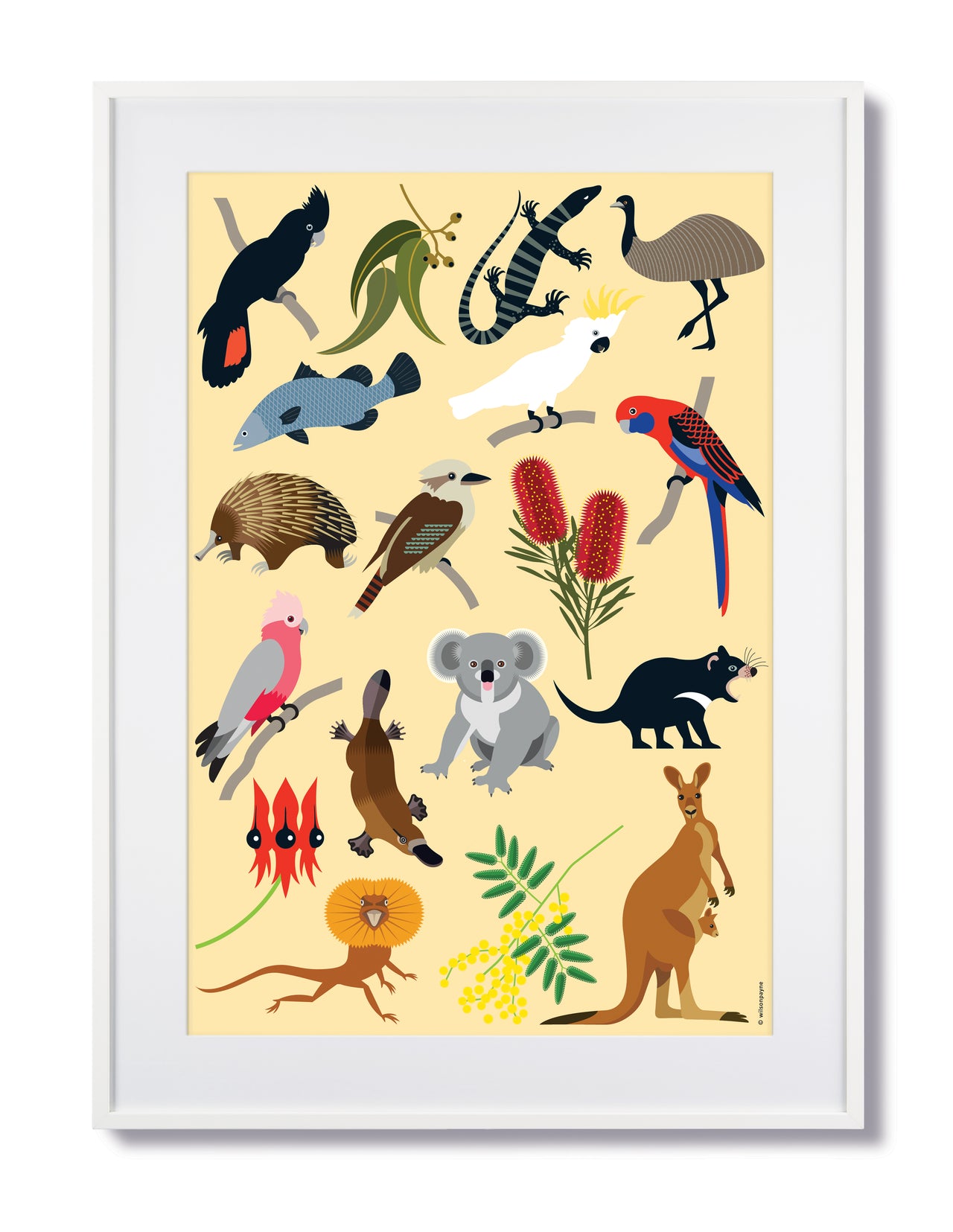 AUSSIE WILDLIFE