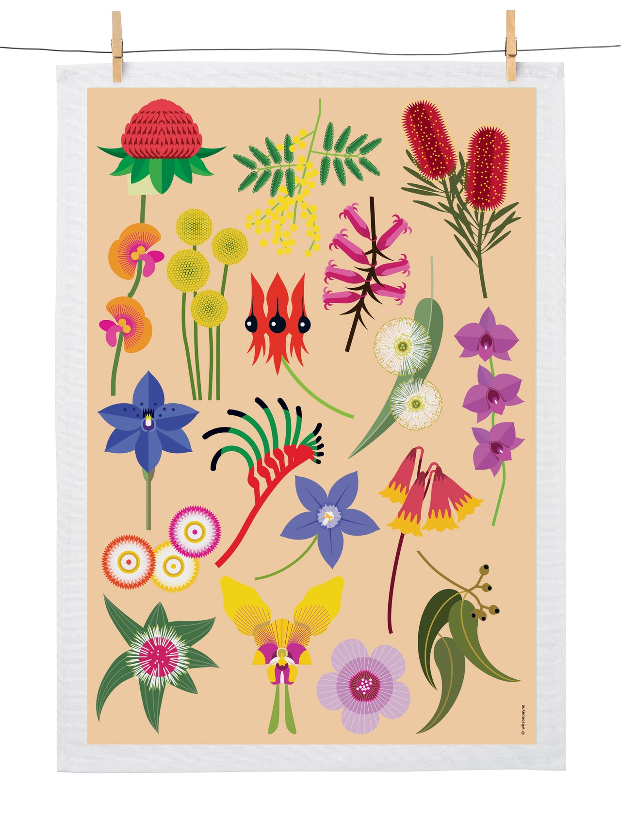 FANTASTIC FLORA